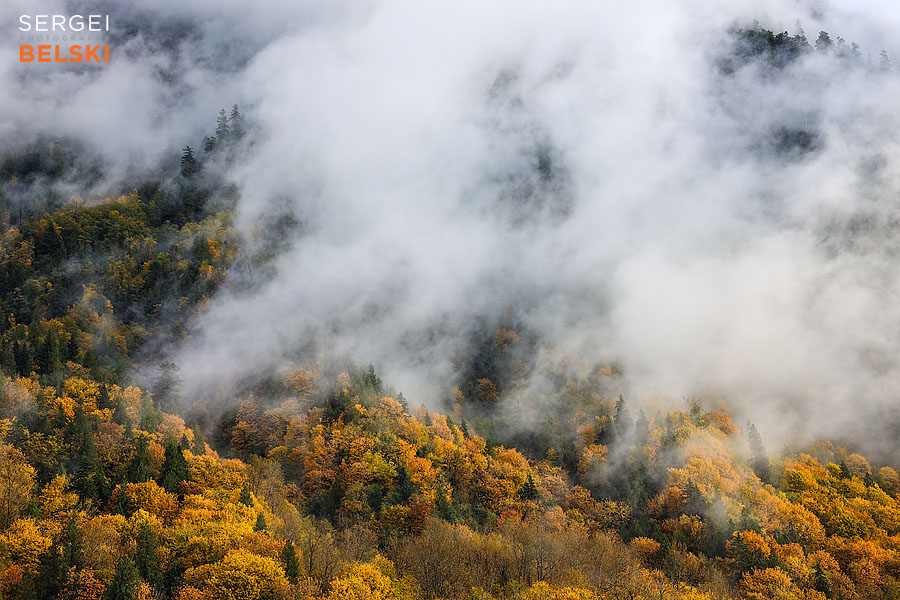 my tesla adventures Vancouver road trip photographer sergei belski photo