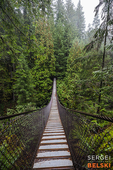 my tesla adventures Vancouver road trip photographer sergei belski photo