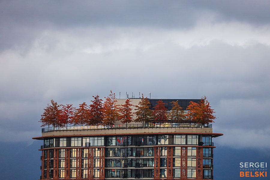 my tesla adventures Vancouver road trip photographer sergei belski photo