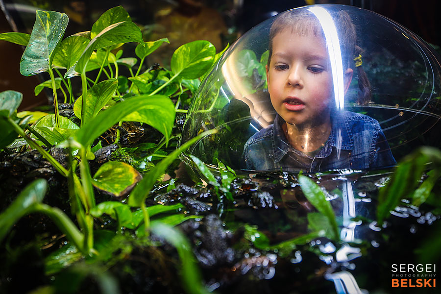 my tesla adventures Vancouver road trip photographer sergei belski photo