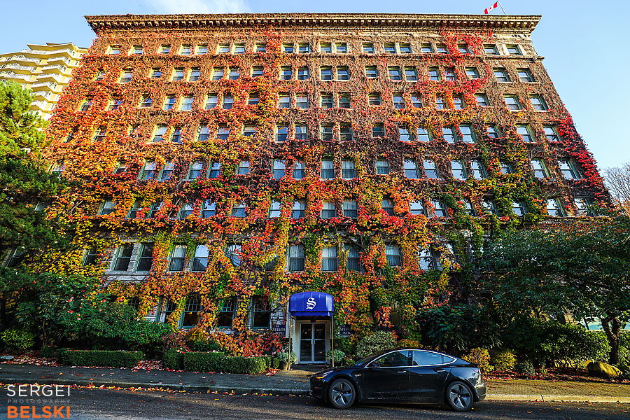 my tesla adventures Vancouver road trip photographer sergei belski photo