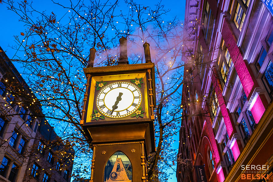 my tesla adventures Vancouver road trip photographer sergei belski photo