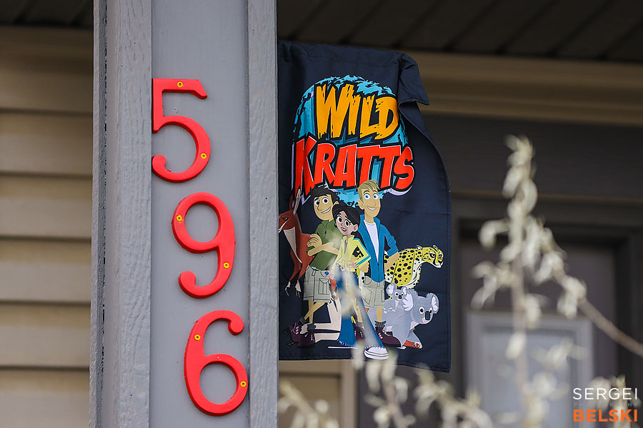 kids birthday event photographer sergei belski photo