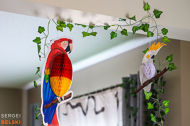 kids birthday event photographer sergei belski photo