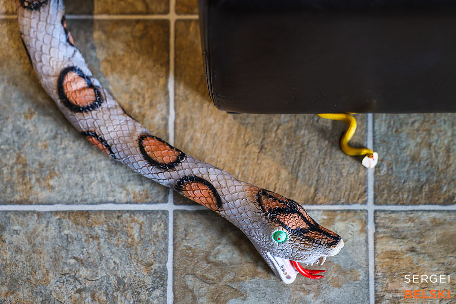 kids birthday event photographer sergei belski photo