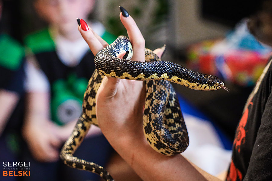 kids birthday event photographer sergei belski photo