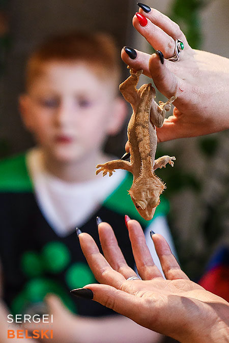 kids birthday event photographer sergei belski photo