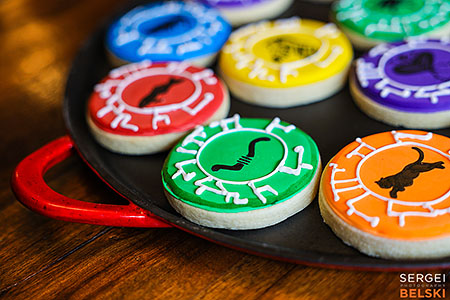 kids birthday event photographer sergei belski photo