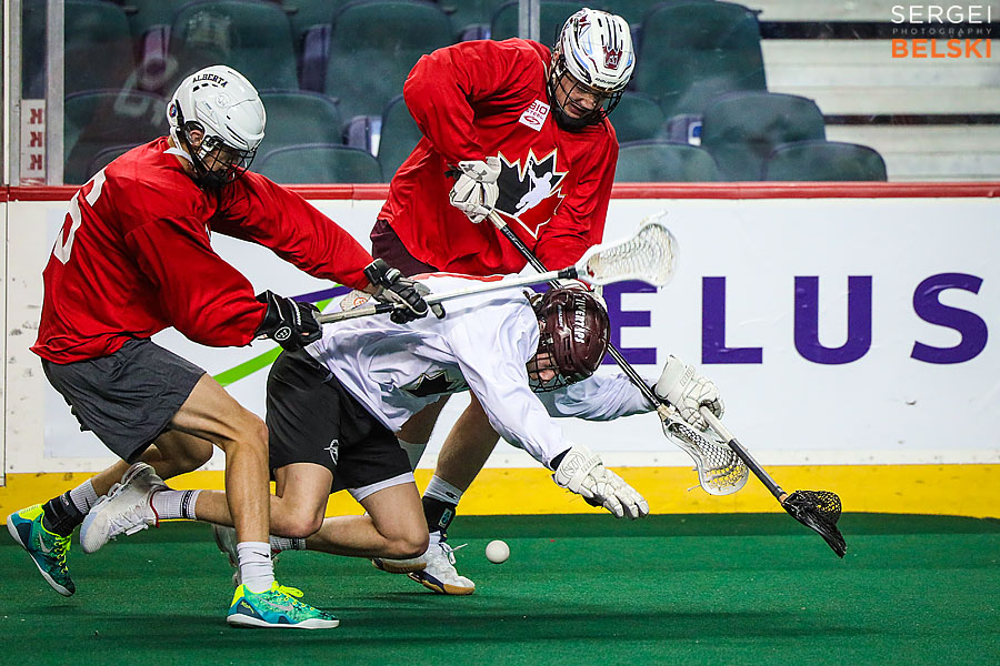 lacrosse calgary sports photographer sergei belski photo