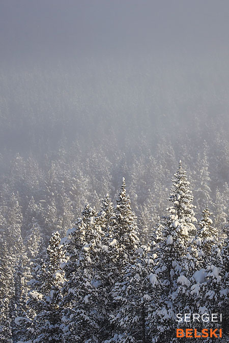 my tesla adventures travel photographer sergei belski photo