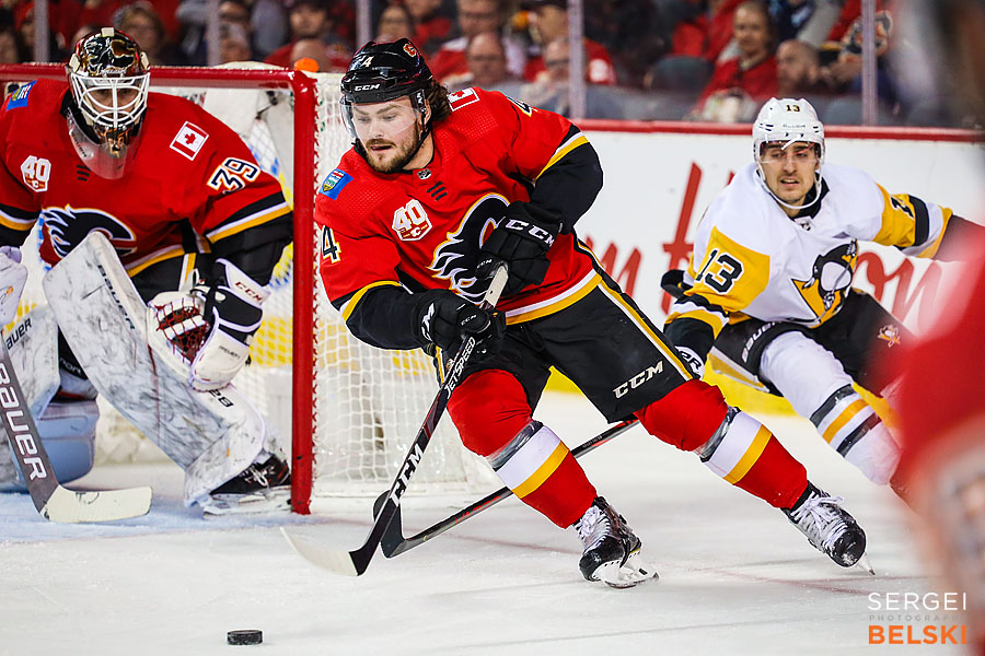 nhl hockey calgary sports photographer sergei belski photo