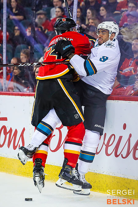 nhl hockey calgary sports photographer sergei belski photo