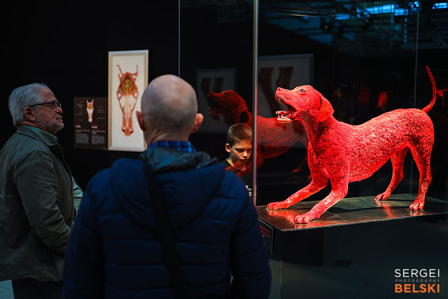 calgary science center photographer sergei belski photo