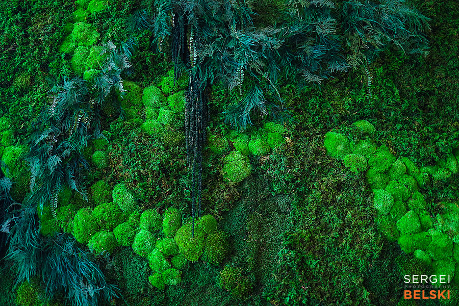 calgary science center photographer sergei belski photo