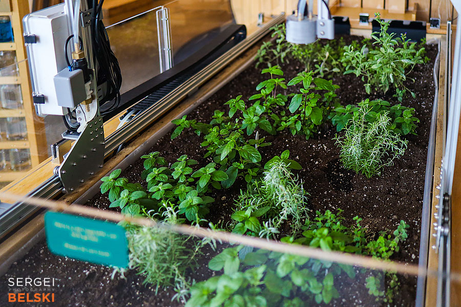 calgary science center photographer sergei belski photo