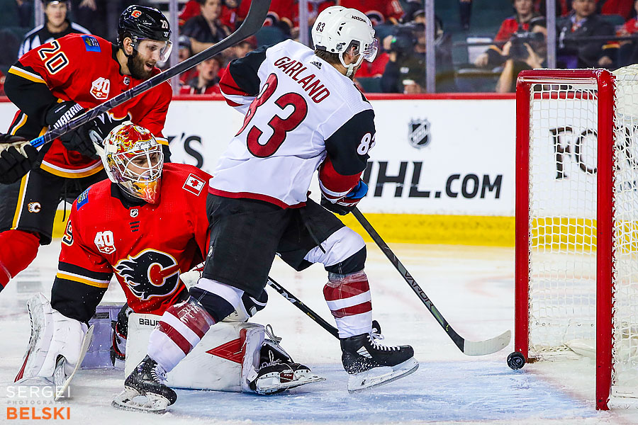 nhl hockey calgary sports photographer sergei belski photo