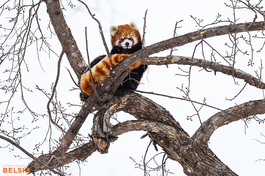 Edmonton travel photographer sergei belski photo