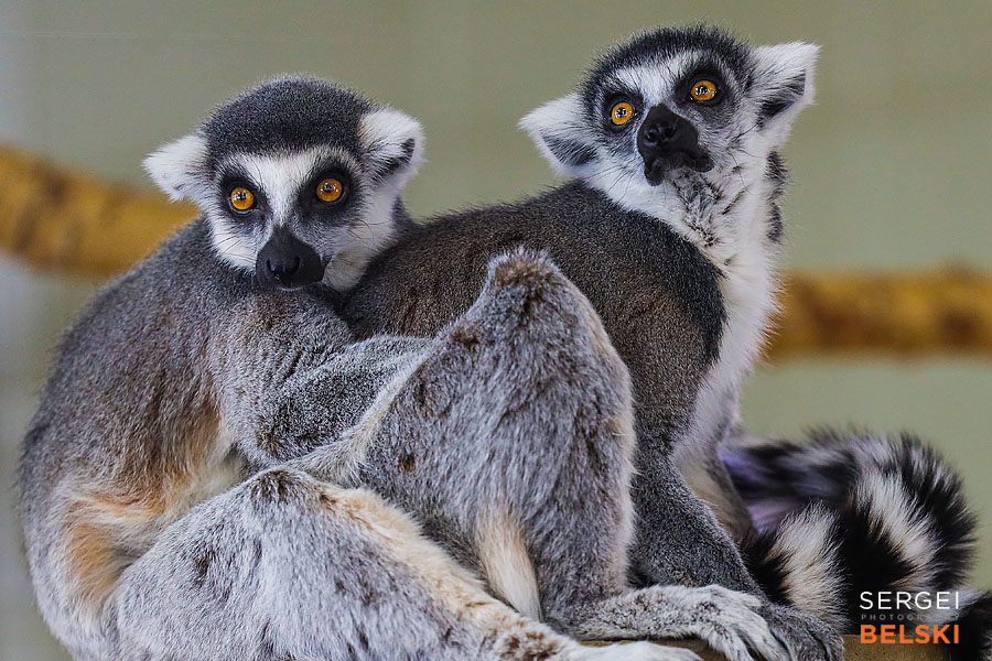 Edmonton travel photographer sergei belski photo