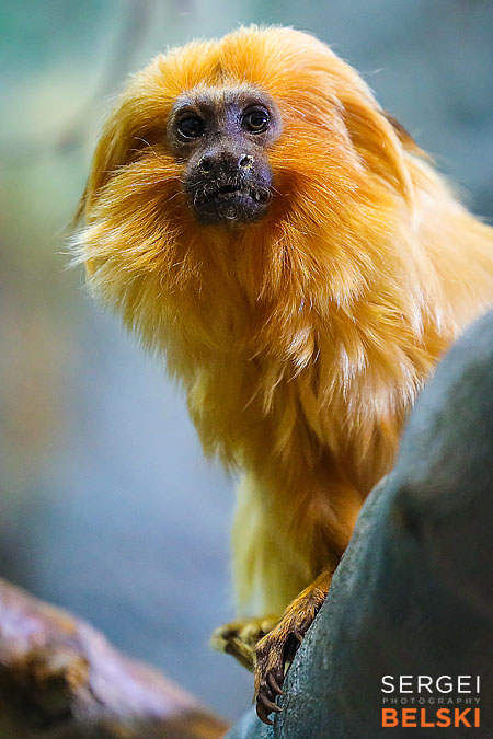 Edmonton travel photographer sergei belski photo