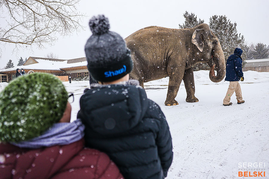 Edmonton travel photographer sergei belski photo