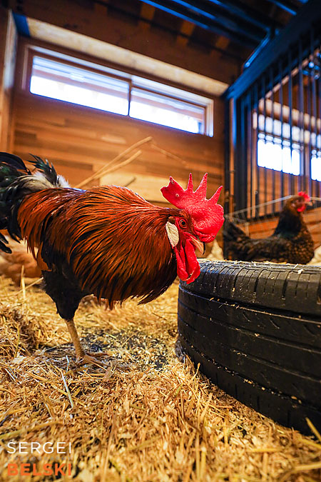 Edmonton travel photographer sergei belski photo