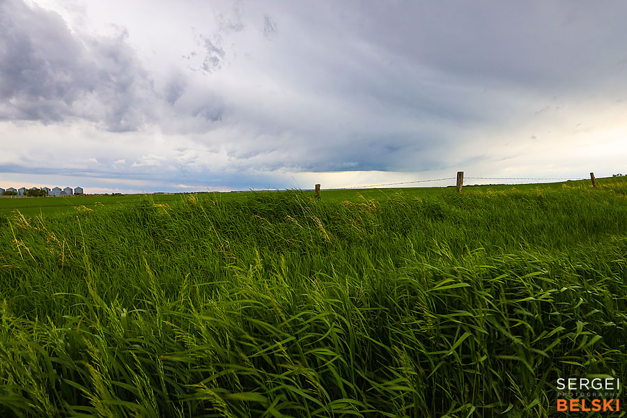 my tesla adventures travel photographer sergei belski photo