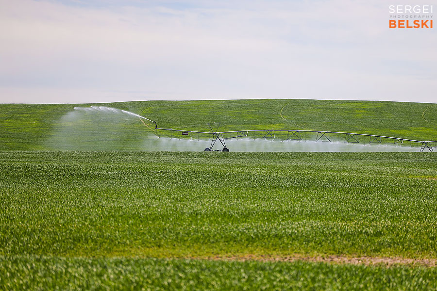 fortis alberta corporate photographer sergei belski photo