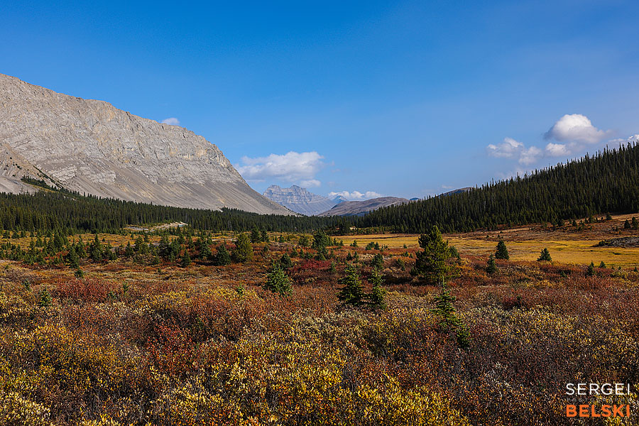 jasper my tesla adventures travel photographer sergei belski photo