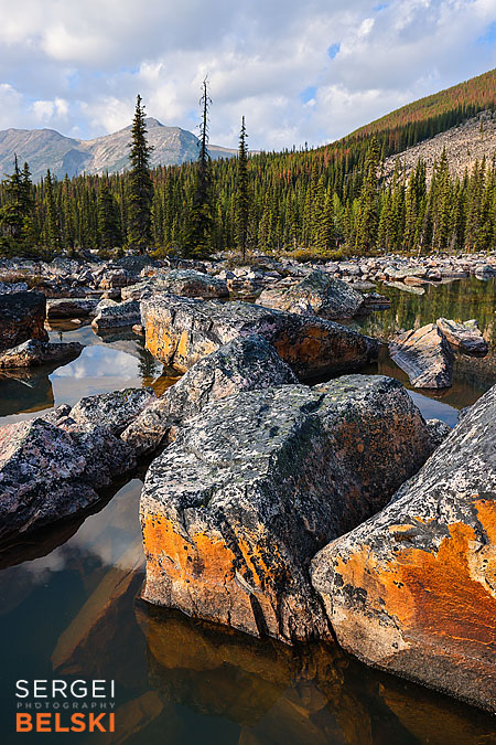 jasper my tesla adventures travel photographer sergei belski photo