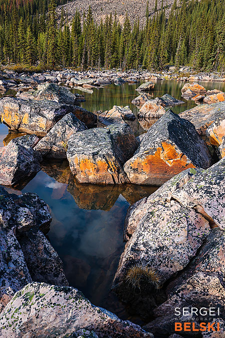 jasper my tesla adventures travel photographer sergei belski photo
