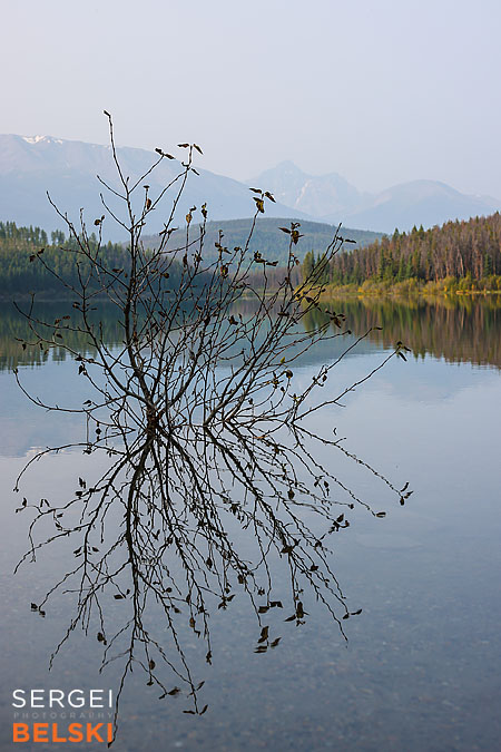 jasper my tesla adventures travel photographer sergei belski photo