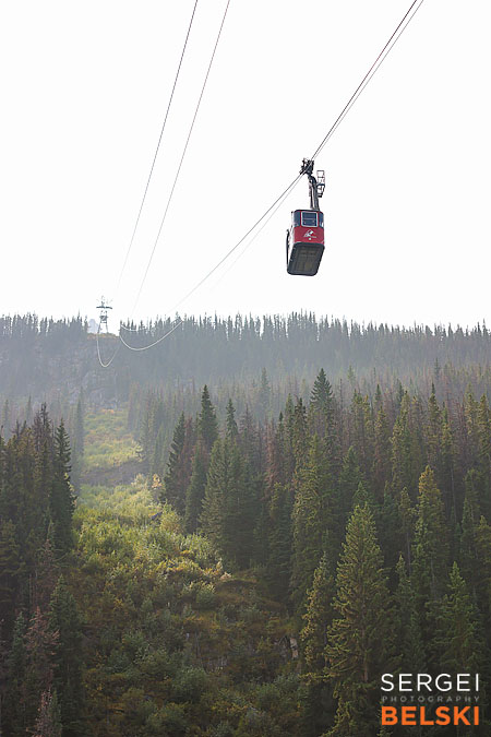 jasper my tesla adventures travel photographer sergei belski photo