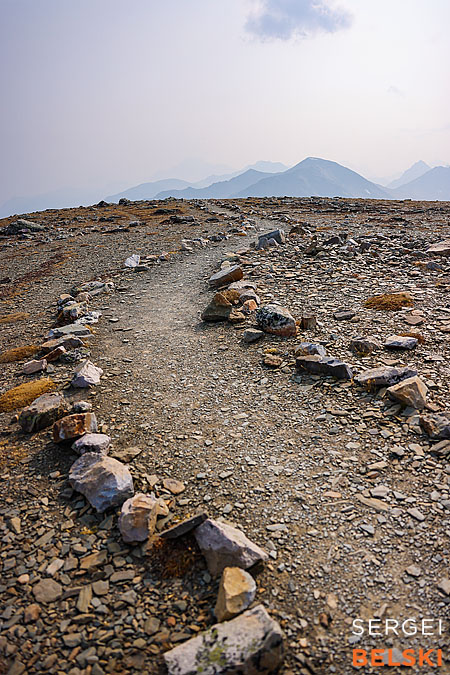 jasper my tesla adventures travel photographer sergei belski photo