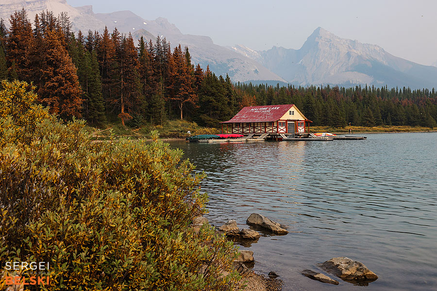 jasper my tesla adventures travel photographer sergei belski photo