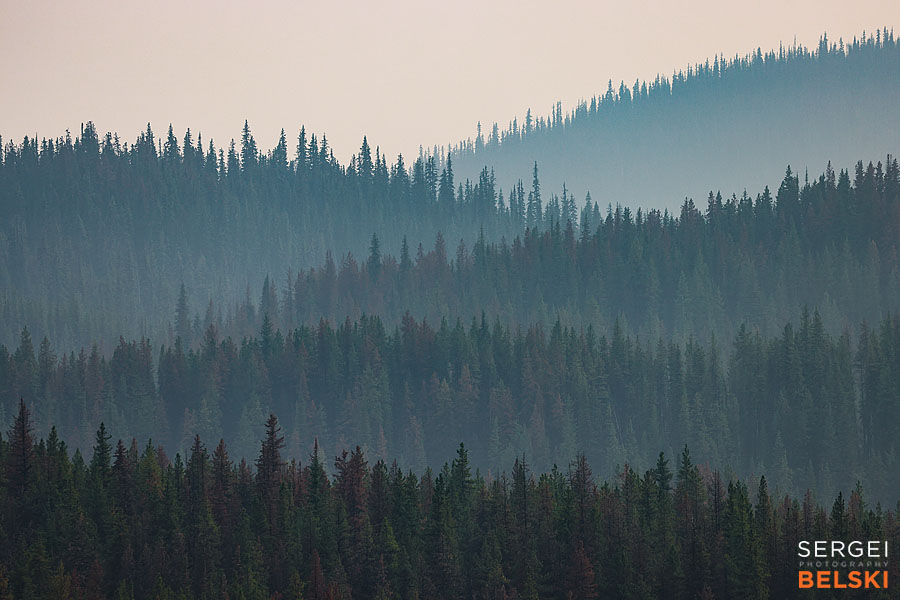 jasper my tesla adventures travel photographer sergei belski photo