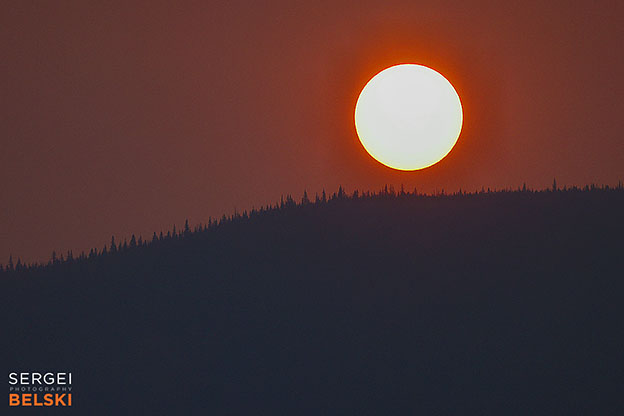 jasper my tesla adventures travel photographer sergei belski photo