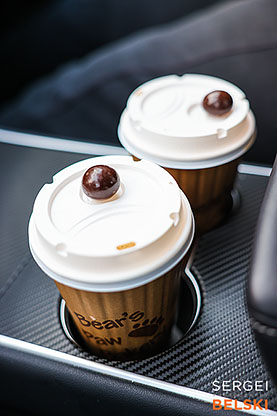 jasper my tesla adventures travel photographer sergei belski photo