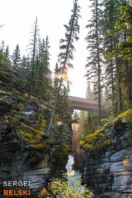jasper my tesla adventures travel photographer sergei belski photo