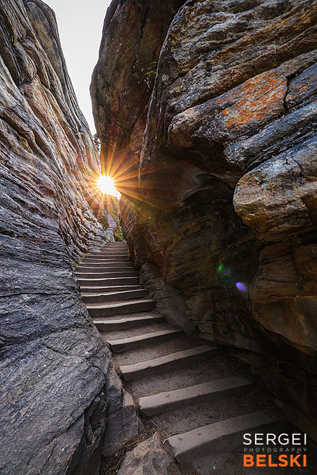 jasper my tesla adventures travel photographer sergei belski photo