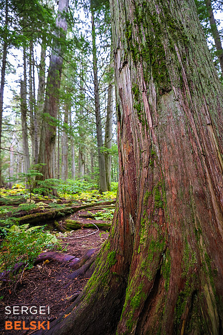 bc travel photographer sergei belski photo