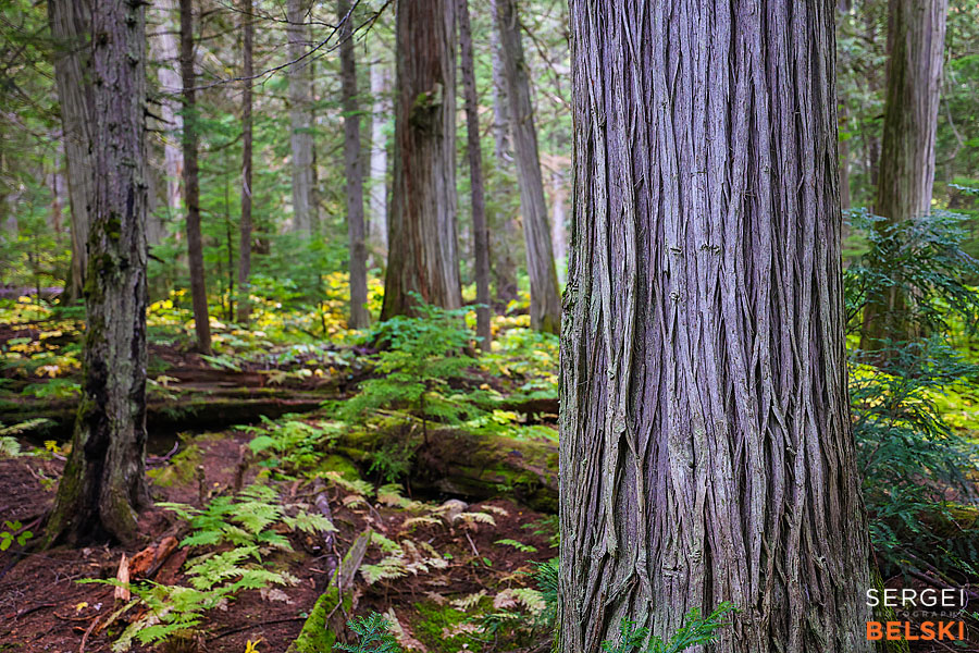 bc travel photographer sergei belski photo