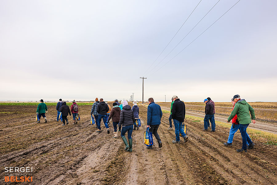 fortis alberta corporate photographer sergei belski photo