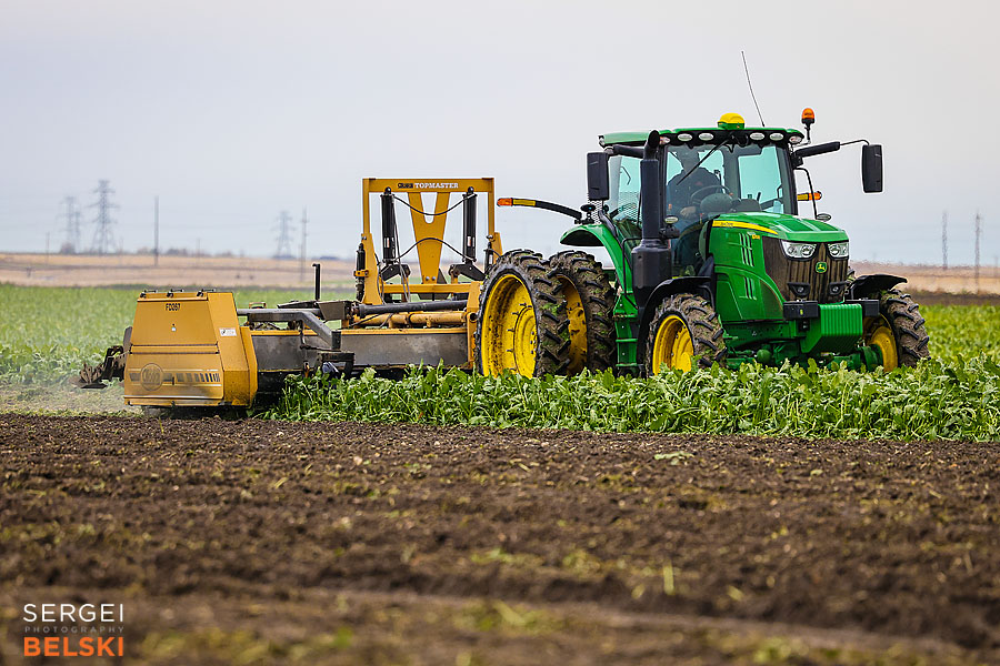 fortis alberta corporate photographer sergei belski photo