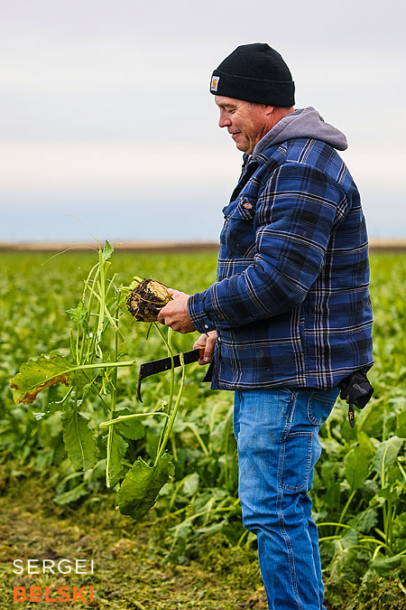 fortis alberta corporate photographer sergei belski photo