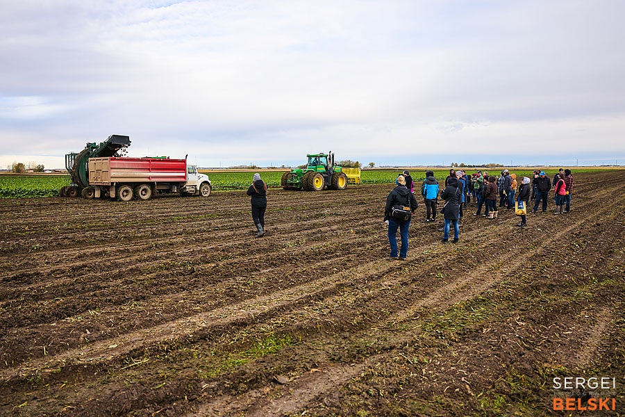 fortis alberta corporate photographer sergei belski photo