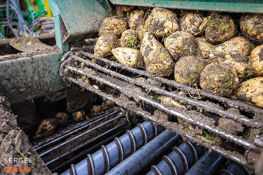 fortis alberta corporate photographer sergei belski photo