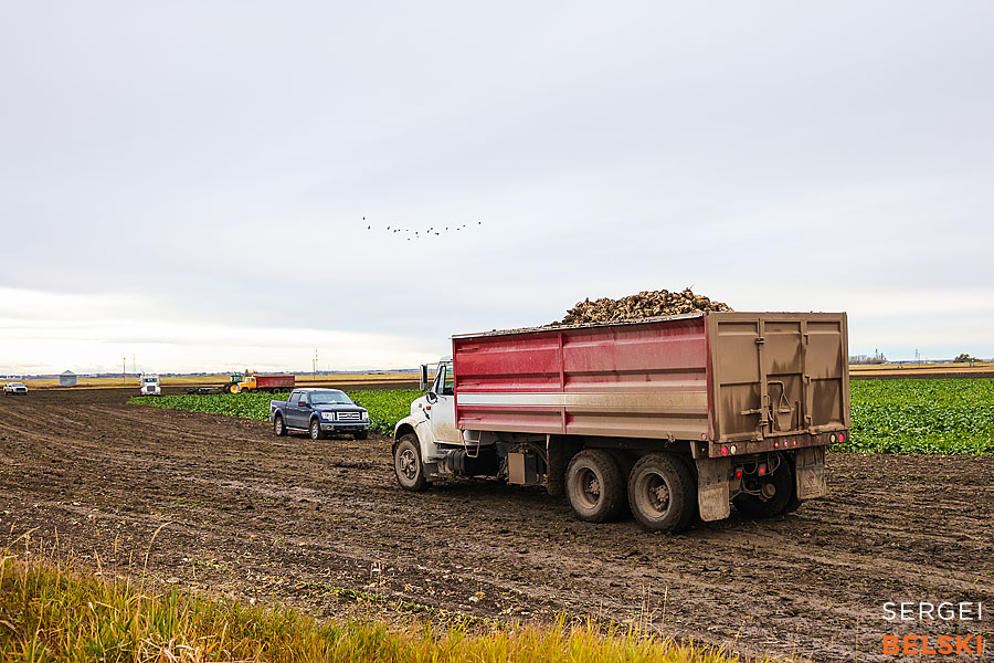 fortis alberta corporate photographer sergei belski photo