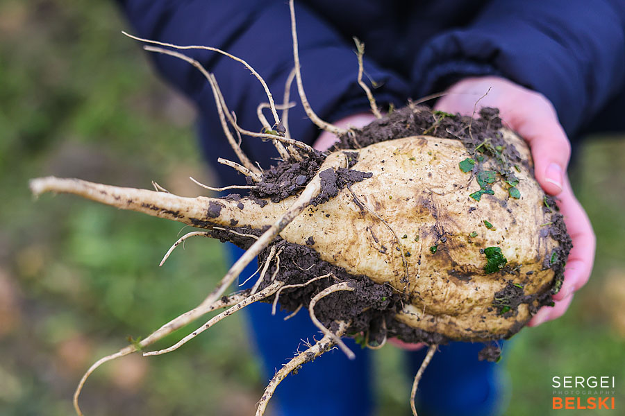 fortis alberta corporate photographer sergei belski photo