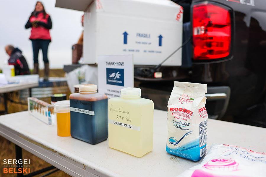 fortis alberta corporate photographer sergei belski photo