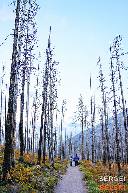 waterton travel photographer sergei belski photo